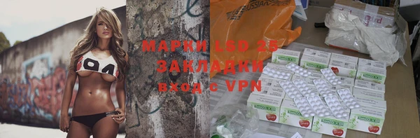 индика Алзамай