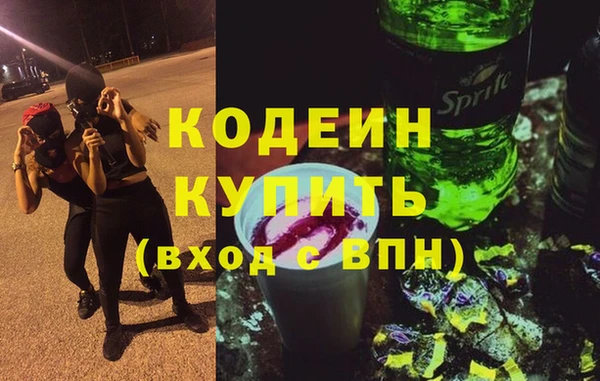 индика Алзамай