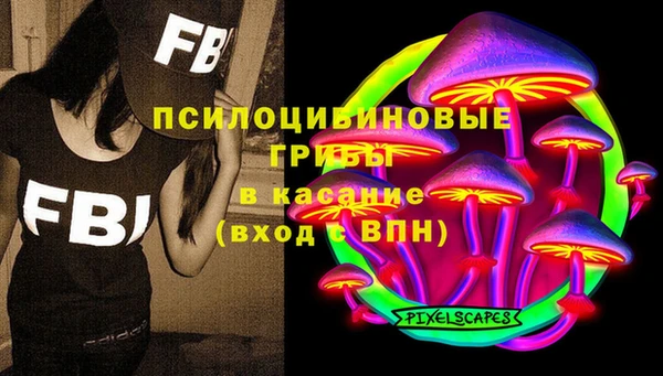 индика Алзамай