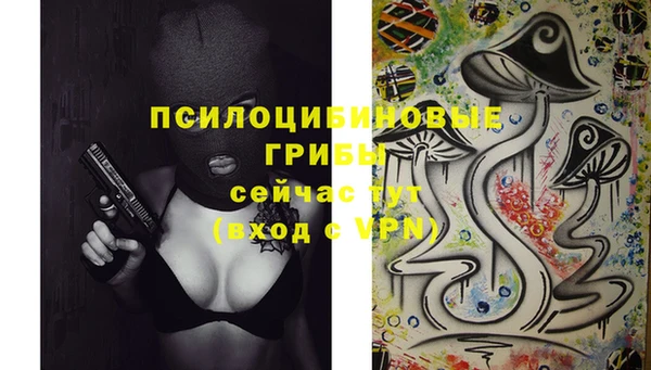 индика Алзамай