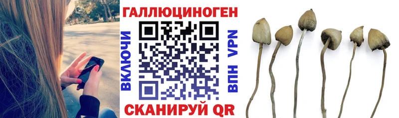 мега ONION Биробиджан Псилоцибиновые грибы мицелий